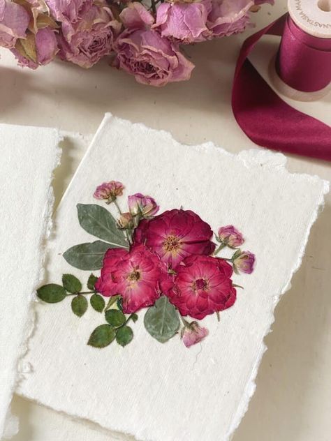 Press Flower Cards, Using Pressed Flowers, Dry Pressed Flower Art, Dried Flower Cards Diy, Pressed Flower Business, Rose Pressed Flower, Pressed Flower Greeting Cards, Pressed Flower Decoupage, Framed Paper Flowers