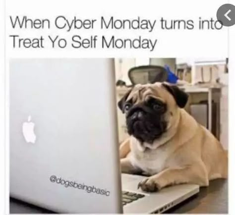 Monday Funny, Shopping Meme, Makeup Memes, Monday Memes, You Meme, Good Jokes, Non Stop, Just For Laughs, Animal Memes