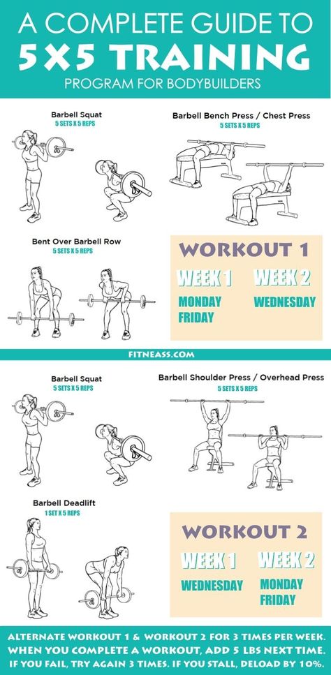 5x5 Workout, Outside Workouts, Stronglifts 5x5, Bar Workouts, Exercises For Back Fat, Barbell Shoulder Press, Flatten Belly, Barbell Deadlift, Exercises For Back