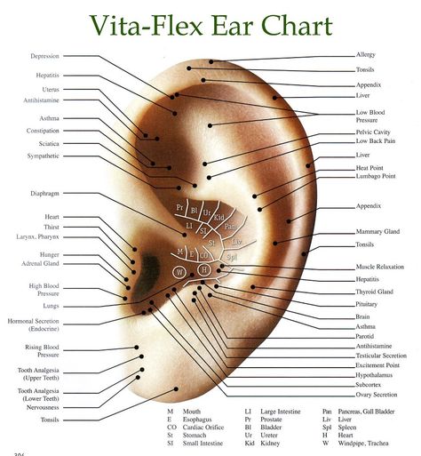 Vitaflex ear chart Reflexology Chart, Yl Oils, Yl Essential Oils, Living Essentials Oils, Living Essentials, Young Living Oils, Oil Uses, Essential Oil Uses, Doterra Essential Oils