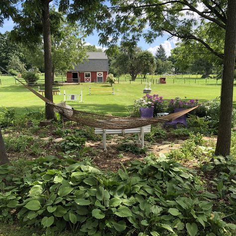 back yard shade garden hammock, phlox, horse barn, chicken coup, Back Yard Shade, Property Ideas, Chicken Coup, Garden Hammock, Outdoor Hammock, Texas House, Texas Homes, Old Farmhouse, Horse Barn