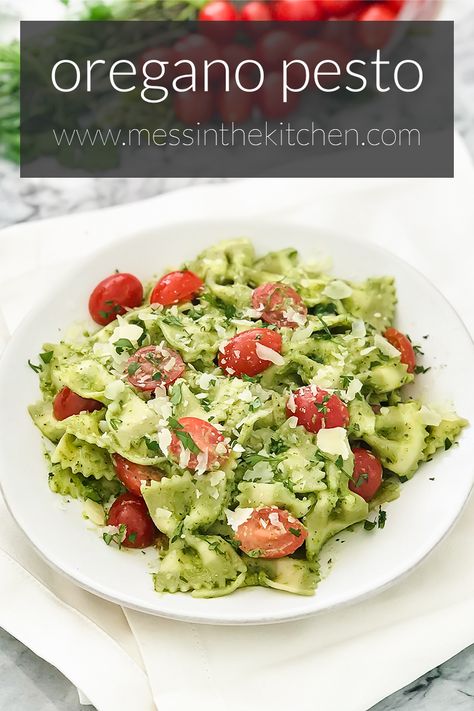 Cooking With Fresh Oregano, Oregano Pesto Recipe, Italian Oregano Recipes, Fresh Oregano Uses, Greek Oregano Recipes, Recipes With Fresh Oregano, Fresh Oregano Recipes, Oregano Pesto, Oregano Recipes