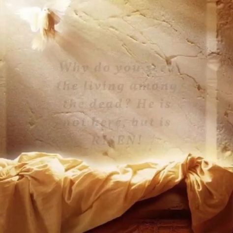 Pin on Inspiring Video by Carry The Light Be Thou My Vision He Is Risen Video, Happy Easter Videos Jesus, Easter Videos Jesus Risen, Easter Videos Jesus, Jesus Crucifixion Pictures, Jesus Crucifixion, Easter Videos, Rise Quotes, Be Thou My Vision