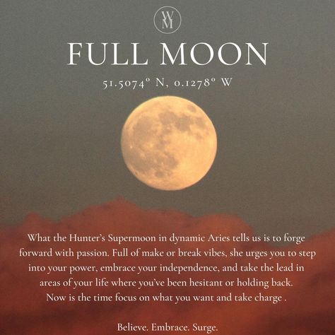 Today's Full Hunter's Moon is the third Supermoon of 2024, and due to its proximity to Earth, it's predicted to be the most dazzling moon so far! This Aries Moon closes eclipse season and marks a real turning point and chance for clarity. If you've been feeling overwhelmed or foggy, this shimmering light offers catharsis and a fresh start. Prepare to embrace a new lunar cycle and let go of what no longer serves you. ✨🌕 Discover how this full moon may affect your dreams tonight at the link i... May Full Moon, Eclipse Season, Aries Moon, Shimmer Lights, Lunar Cycle, Turning Point, Super Moon, A Fresh Start, Fresh Start