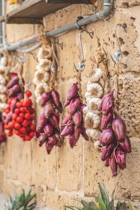 Street Food Market, Photography Wallpaper, Food Market, Red Onion, Cherry Tomatoes, Street Food, Garlic, Art Wallpaper, Stock Images