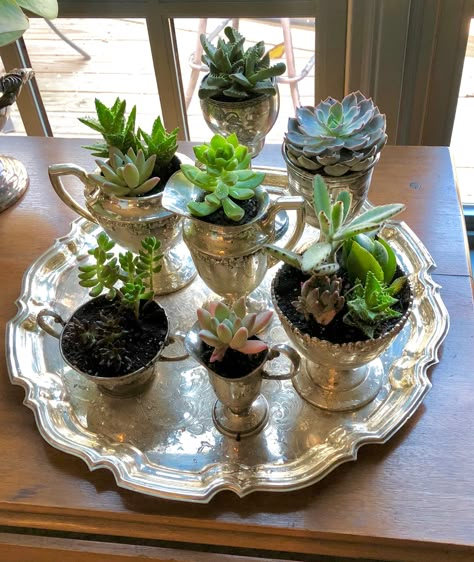 Plants In Antique Containers, Silver Tray Centerpiece, Decorating With Silver Pieces, Silver Tray Decor, Silver Plate Decor, Antique Booth Ideas, Silver Display, Silver Platters, Succulent Garden Design