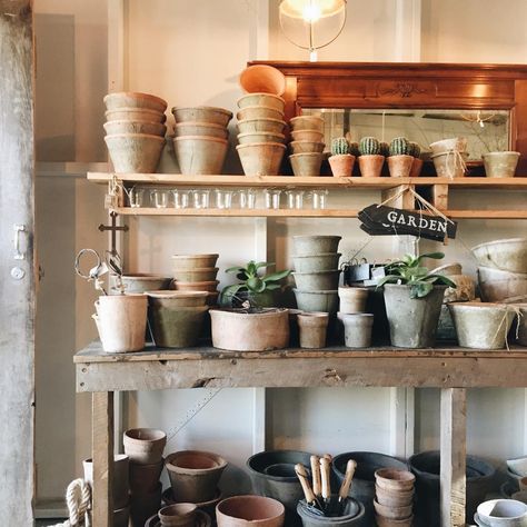 The Potting Shed — visit Jugiong Gifts For The Gardener, Inside Garden, Grasses Garden, Potting Sheds, The Gardener, Garden Sheds, Potting Shed, Garden Shed, South Wales