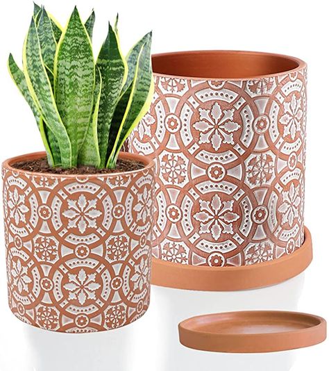 Clay Pots For Plants, Cactus Plant Pots, Pots For Plants, White Patio, Clay Crafts For Kids, Pot Painting, Modern Plant Stand, Ceramic Planter Pots, Terracotta Planter