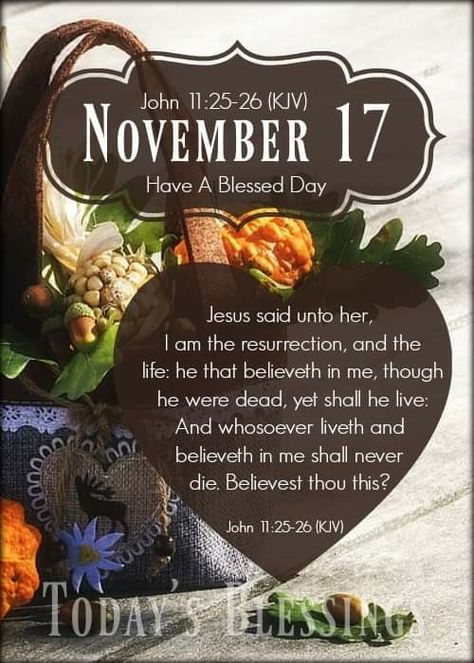 November 17 Bible Verse, November 17 Blessings, November Prayer, November Scripture, November Blessings, Welcome November, Happy Thanksgiving Images, November Quotes, Beautiful Sayings