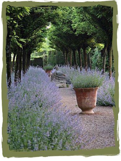 Have Some Decorum: Antique Sale! Day 2: Toujours Provence Garden With Lavender, Provence Garden, Lavender Plants, Lavender Garden, Mediterranean Garden, Formal Gardens, French Garden, Garden Pathway, Gorgeous Gardens