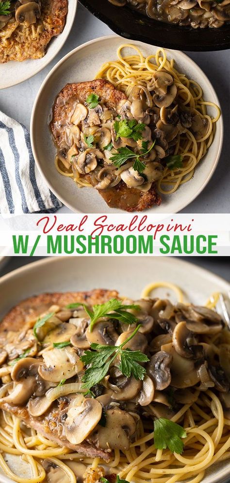 Veal Medallions Recipes, Veal Scallopini Recipes Marsala Sauce, Veal And Mushroom Recipes, Veal Scallopini Recipes Mushrooms, Veal Escalope Recipe, Veal Scallopini Recipes Simple, Veal Pasta Recipes, Italian Veal Scallopini Recipes, Veal Cutlet Recipes Dinners