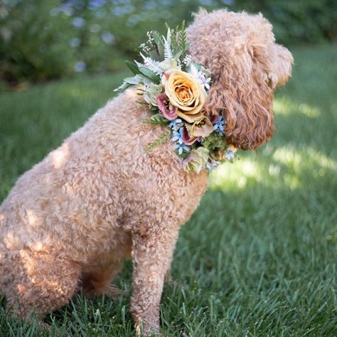 Fashion + Accessories | Green Wedding Shoes Dog Collar Tutorial, Collar Tutorial, Masculine Wedding, Flower Recipes, Photo Moment, Floral Dog Collar, Pet Project, Flower Collar, Wedding Pets