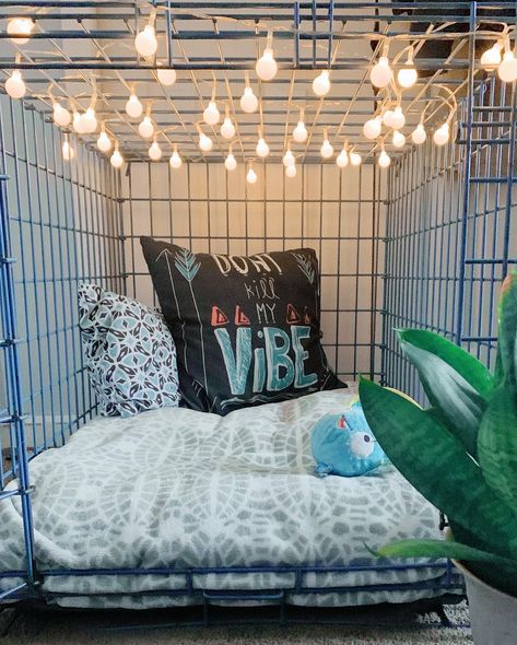 Small Dog Area In Apartment, Decorated Dog Kennel, Dog Cage Decor, Cozy Dog Crate Ideas, Decorated Dog Cage, Aesthetic Dog Kennel, Cute Dog Kennel Ideas Indoor, Aesthetic Dog Crate Ideas, Pet Cage Ideas