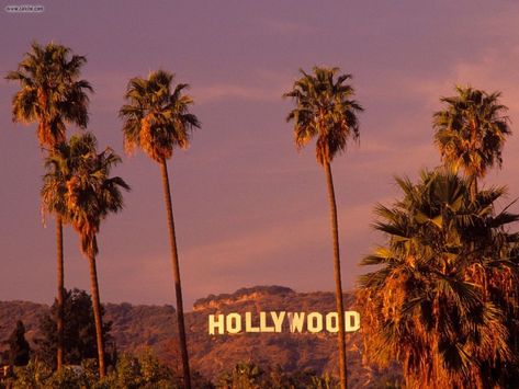 I still get excited when I see the Hollywood sign.  Silly, I know. Tan Aesthetic, Visit Los Angeles, Tori Vega, Trees Wallpaper, 달력 디자인, Istoria Artei, Gossip Girls, Los Angeles Travel, Ali Larter