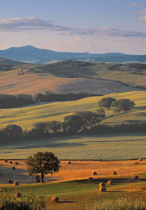 Order Template, Val D Orcia, Italy Landscape, Landscape Photography Nature, Country Landscaping, Pretty Landscapes, Rolling Hills, Alam Yang Indah, Landscape Photos