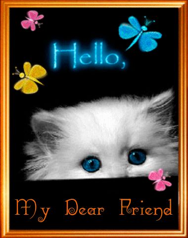 Hello My Dear Friend, Hello Quotes, Hello Gif, Hello My Friend, Hello Greeting, Hug Quotes, Hi Hello, White Kitten, Good Morning Funny