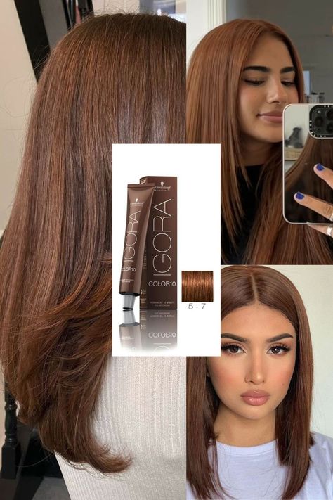 Copper Balayage Latina, Igora Hair Color Brown, Hair Color 2023 Trends Women, Pelo Color Chocolate, Chocolate Pelo, Maple Brown Hair, Pelo Chocolate, Chocolate Blonde, Rambut Brunette