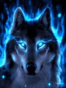 Alpha Wolf, Twitter, Blue