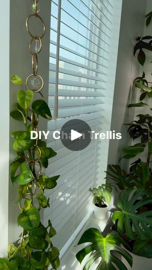 Hanging Pothos On Wall, Diy Crafts To Do At Home, Climbing Plant Support, Plant Display Ideas, Indoor Plant Wall, Houseplant Care, Hanging Plant Wall, Japanese Minimalism, Plant Display