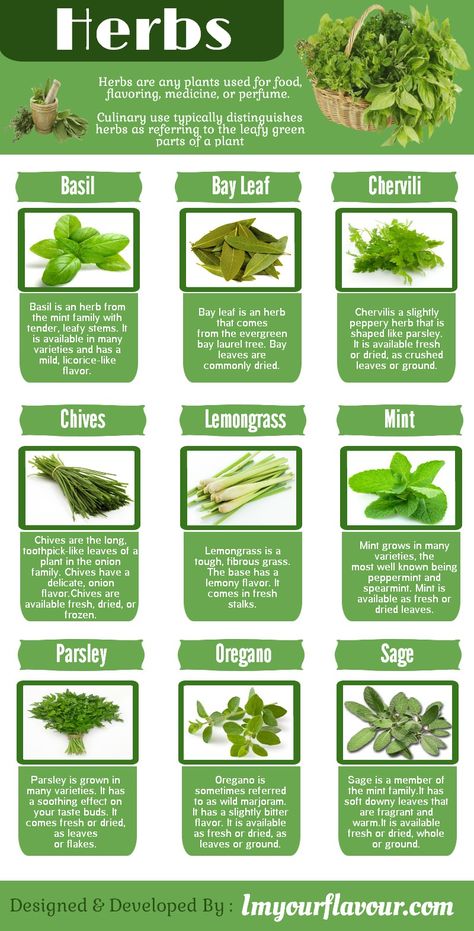 Herbs are any plants used for food, flavoring, medicine, or perfume. Culinary use typically distinguishes herbs as referring to the leafy ... Benefits Of Herbs, Plants Table, Plants Names, Ayurvedic Plants, Gardening Herbs, Herb Plants, Table Chart, Medicinal Herbs Garden, Medical Herbs