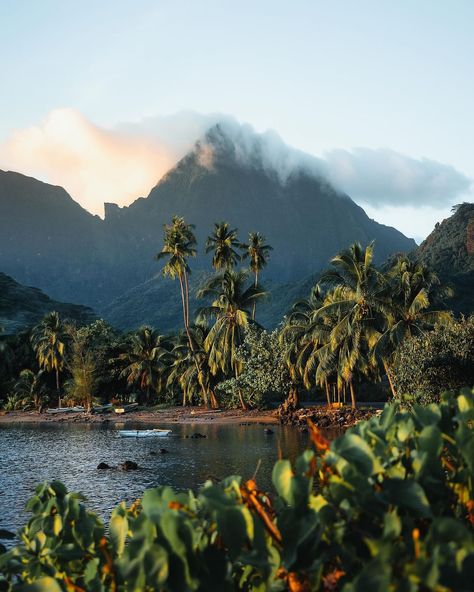 Kaori Media | 📸@manueldietrichphotography “Magic Cove“ - Moorea, French Polynesia ⛰️ You can literally drive around this island, stop wherever you want... | Instagram Moorea French Polynesia Aesthetic, French Polynesia Aesthetic, Polynesian Aesthetic, Boho Drawings, Aesthetic Pictures Ideas, Barbie Island Princess, Hawaiian Roller Coaster Ride, Sims 4 Worlds, Vacay Aesthetic