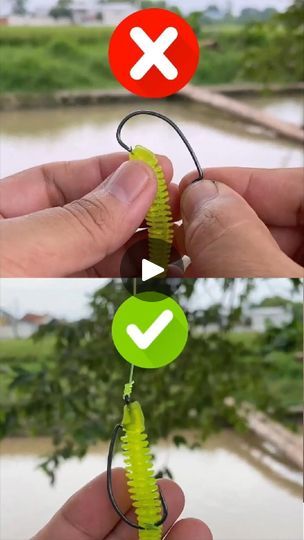 Tie A Fishing Hook, How To Put A Hook On A Fishing Line, Uni Knot Fishing, How To Tie Braided Fishing Line, Best Fishing Knot, Tie Fishing Hook, Fishing Rigs, Fishing Knots, Fishing Tools