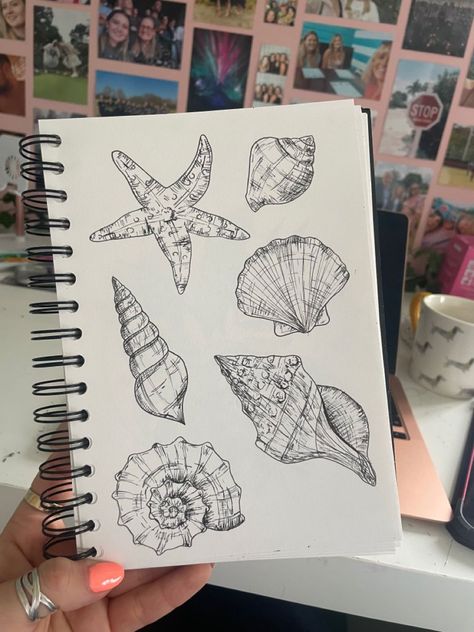 Shell Drawing Aesthetic, Starfish Sketch Drawings, What To Draw On Your Sketchbook, Starfish Drawing Aesthetic, Sea Shells Sketch, Free Sketch Drawings, Drawing Book Ideas Sketchbooks, Drawing Of Shells, How To Draw A Starfish