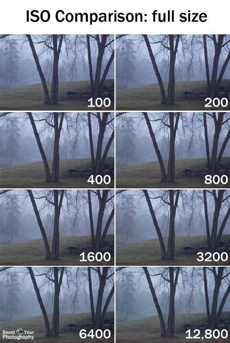 ISO Comparison at Full Size | Boost Your Photography Photo Series Ideas, Iso Photography, Gcse Photography, Improve Photography, Digital Photography Lessons, Photo Elements, Dslr Photography Tips, Photography Settings, Photography Cheat Sheets