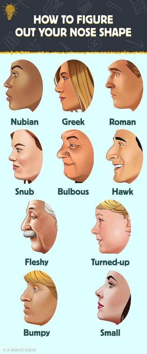 Face Shape Chart, Actress Style, Different Nose Shapes, Nose Types, Human Anatomy Reference, Type Chart, Face Proportions, Shape Chart, Writing Pictures