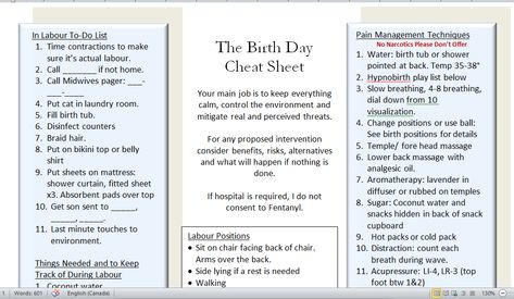 Why I Used a Birth Partner Cheat Sheet Instead of a Birth Plan. Free download of a modifiable cheat sheet included. A very clear quick reference for birth partners Labor Partner Cheat Sheet, Bradley Method Cheat Sheet, Birth Partner Cheat Sheet, Birth Partner Help List, Pregnancy List, Bradley Method, Pain Management Techniques, Birth Partner, Birth Plan