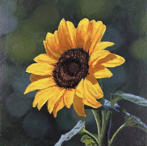 Sunflower Acrylic Painting, Sunflower Sketches, Sunflower Acrylic, Sunflower Watercolor Painting, Sunflower Artwork, Floral Paintings Acrylic, Drawing Arts, Cadmium Yellow, Canvas Art Projects