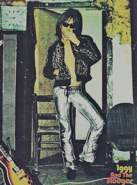 . Iggy Pop Aesthetic, 70s Rockstar Aesthetic, Iggy And The Stooges, The Velvet Underground, Silver Pants, Rockstar Aesthetic, Underground Art, The Stooges, Iggy Pop