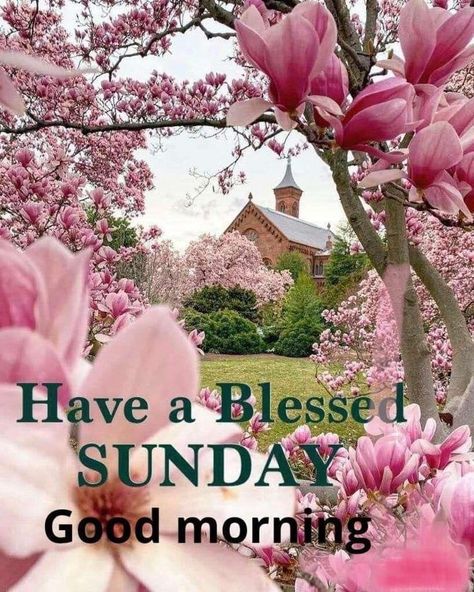 Happy Sunday Pictures, Good Morning Saturday Wishes, Sunday Morning Wishes, Blessed Sunday Morning, Happy Sunday Images, Good Morning Christmas, Good Morning Sunday Images, Sunday Morning Quotes, Sunday Greetings