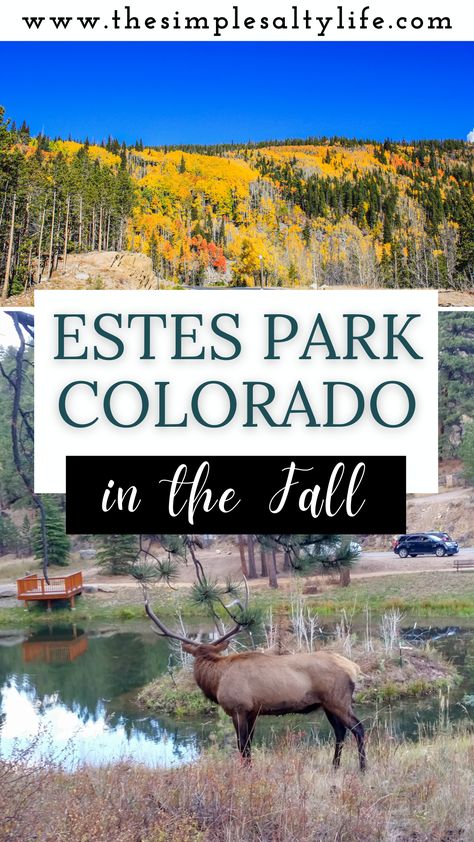 Things to Do in Estes Park in the Fall • Colorado • The Simple Salty Life Rocky Mountain National Park Colorado, Colorado Fall, Estes Park Colorado, Grand Lake, Colorado Travel, Mountain Town, Beautiful Autumn, Estes Park, Rocky Mountain National