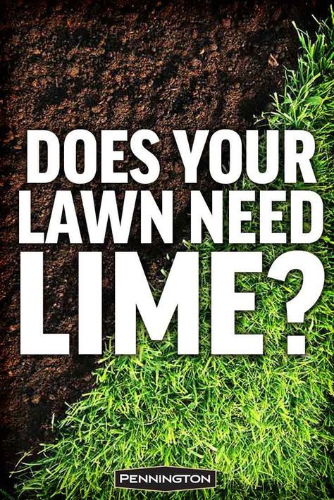 Lime For Lawns, Reseeding Lawn, Overseeding Lawn, Lawn Repair, Lawn Care Schedule, Lawn Food, Lawn Care Business, Lawn Fertilizer, Aerate Lawn