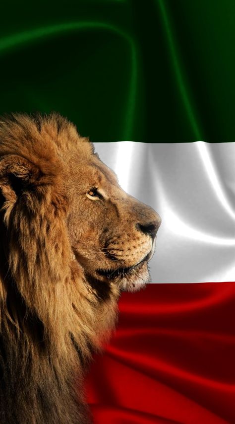 Iran flag wallpaper with lion Korosh Kabir Iran Wallpaper, Iran Flag Lion, Iran Flag Wallpaper, Iran Wallpaper, Persian Lion, Father Daughter Pictures, Iranian Flag, Dollars Money Wallpaper, Pictures Of Flags