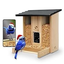 Bird Videos, Wood Bird Feeder, Bird Gif, Wood Bird, Outdoor Decor Backyard, Nature Birds, Backyard Birds, Bird Lover, Bird Feeder