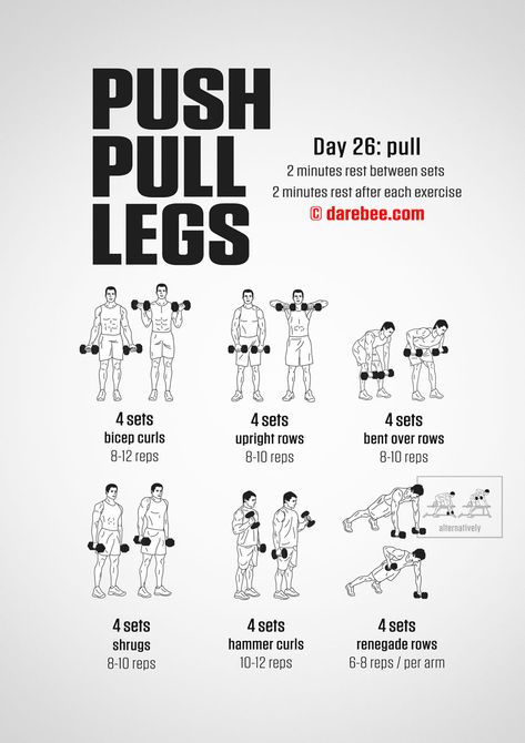 Pull Exercises For Women, Push Pull Legs Workout, Leg Workout Plan, Push Pull Legs, Leg Workout At Home, Push Up Workout, Fitness Challenges, Motivation Exercise, Workout Plan For Women