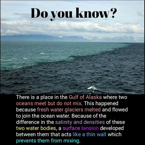 Two Oceans Meet, Gulf Of Alaska, Glaciers Melting, Surface Tension, Ocean Depth, Happy Janmashtami, Water Projects, Unbelievable Facts, Water Bodies