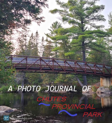 Learn the reasons why this small, yet picturesque Ontario park deserves your visit! I highly recommend staying at Chutes Provincial Park. The staff are friendly, the campsites are well tended to, and the location and scenery are hard to beat! #travel #tourism #ontarioparks #canada #wanderlust #travelblog #nature #adventure #photography Canada Decor, Ontario Parks, Ontario Travel, Parks Canada, Summer Camping, Adventure Photography, Nature Adventure, Travel Tourism, Photo Journal