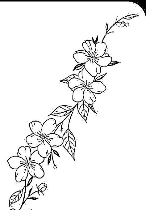 Arabian Jasmine Flower Tattoo, Arabian Jasmine Flower, Jasmine Flower Drawing, Tattoo Tramp Stamp, Jasmine Flower Tattoo, Arabian Jasmine, Jasmine Plant, Beautiful Flower Drawings, Flower Drawings