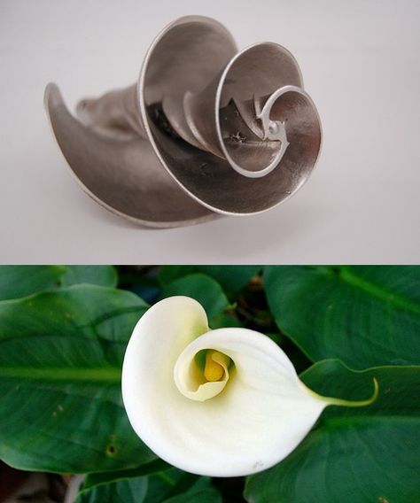 Pax Technologies took the calla lily's shape as inspiration for a water mixer. The flower's centripetal spirals assist with the ideal flow of liquid, which allows their design to mix more liquid with a fraction of the horse power usually required. Using nature's perfected designs helps minimize energy requirements Biomimicry Examples, Biomimicry Architecture, Bionic Design, Fibonacci Spiral, Natural Structures, Tree Hugger, Yanko Design, Nature Inspired Design, Design Help