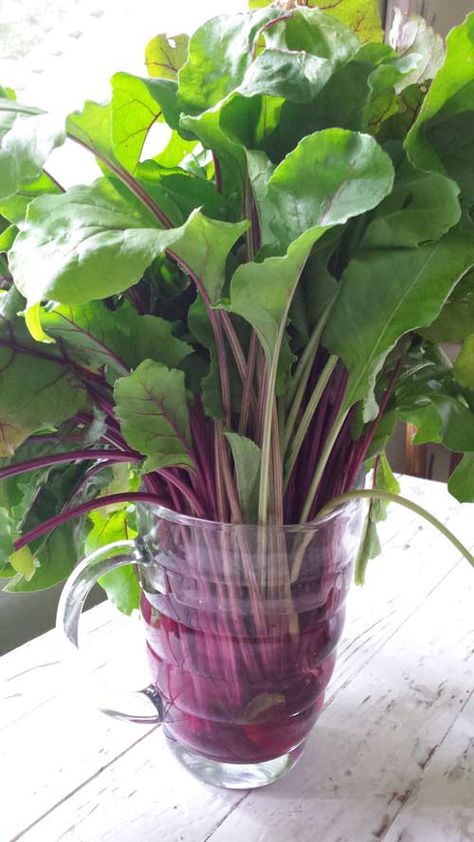 What to do with beet greens... pesto, of course! - Plan to Eat - Plan to Eat Beet Leaf Pesto, What To Do With Beet Leaves, Beet Root Recipes, Beet Leaves Recipe, Roasting Beets, Beet Green Recipes, Green Pesto, Beet Root, Beet Recipes