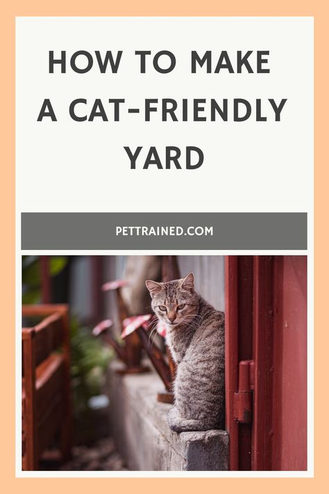 Discover how to make a cat-friendly yard with our expert tips 🐱. Create a safe and enjoyable outdoor environment for your pet 🌿. Ready to start your project? 🌟 Visit our site for the full guide! Cat Walkway, Cat Fence, How To Cat, Hydration Station, Cat Proofing, Outdoor Cat, Outdoor Environment, Outdoor Cats, Beneficial Insects