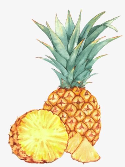 Vintage Pineapple Illustration, Pineapple Sketch, Fresh Summer Cocktails, Cocktail Watercolor, Pineapple Clipart, Pineapple Drawing, Pineapple Painting, Pineapple Illustration, Pineapple Water