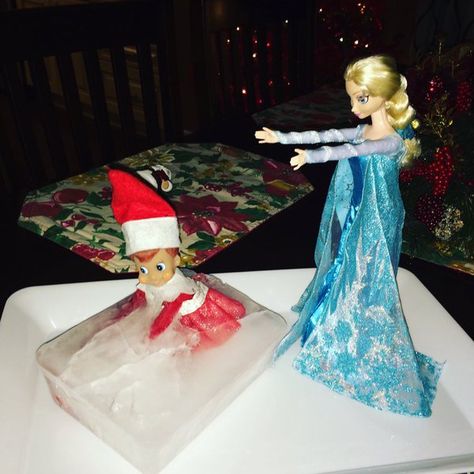 Elsa and Winnie? Wlf On The Shelf, Holiday Kids, Elf Ideas, Elf Christmas, Elf On The Shelf Ideas, Christmas 2014, Elsa Frozen, Shelf Ideas, Holidays With Kids