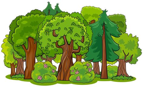 Mixed forest with trees cartoon Tree Cartoon Images, Forest Cartoon, Forest Drawing, Animated Pictures, Cartoon Trees, Tree Clipart, Detailed Coloring Pages, Fall Coloring Pages, Forest Pictures