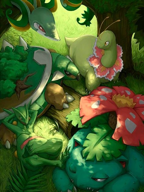 Turtwig Wallpaper, Pokemon Adaman, Rayquaza Pokemon, Grass Type Pokemon, Starter Pokemon, Green Pokemon, Pokemon Painting, Pokemon Photo, Boho Art Drawings