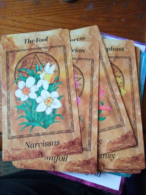 Flower Tarot Cards, Tarot Cards Art, Language Of Flowers, Oracle Cards, The Fool, Tarot Cards, Elf, Book Cover, Flowers