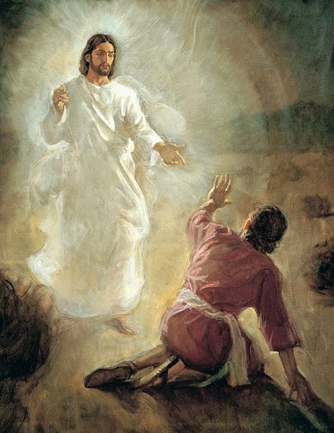 Christ appears to Paul on the road~HE IS NO PROPHET ~ HE IS AND WAS AND IS TO COME ~ THE MESSIAH ~ Bible Catholic, Pictures Of Christ, Jesus Christ Art, Bible Pictures, Pictures Of Jesus Christ, Jesus Painting, Jesus Christ Images, Biblical Art, Jesus Lives